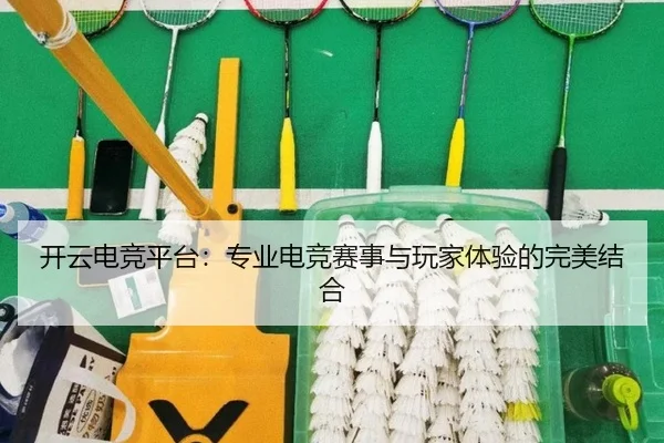 开云电竞平台：专业电竞赛事与玩家体验的完美结合